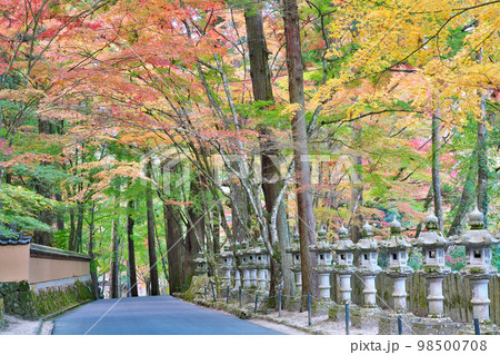 【佛通寺 (紅葉)】 広島県三原市高坂町 【佛通寺 (紅葉)】 広島県三原市高坂町 98500708