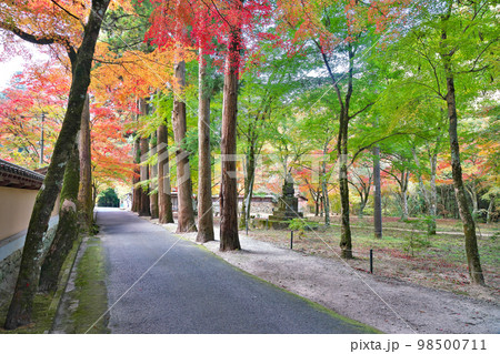 【佛通寺 (紅葉)】 広島県三原市高坂町 【佛通寺 (紅葉)】 広島県三原市高坂町 98500711