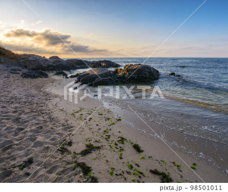 beach with sand and boulders. wave washing the coast. summer leisure background in morning light 98501011
