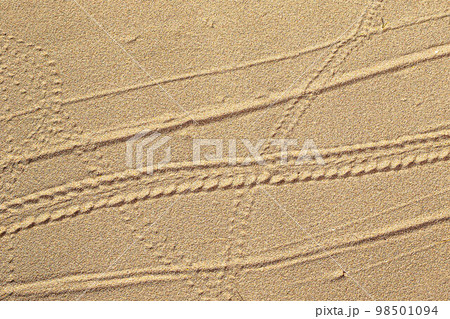 A crab footprints on the sand, animal footprints, crab trajectory 98501094