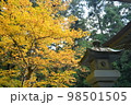 お寺の紅葉 98501505