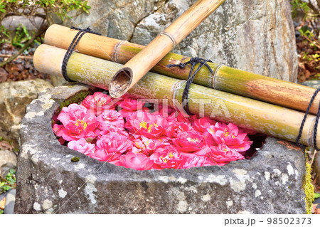 十輪寺の花手水 98502373