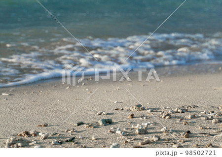 波打ち際 98502721