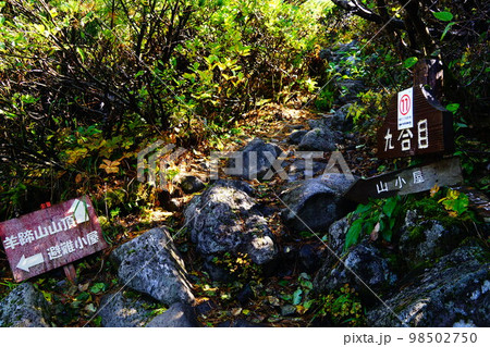北海道　羊蹄山　真狩コース　九合目 98502750