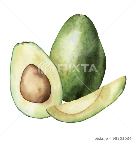 Watercolor summer card with green avocado and slices. Hand painted tropical fruits composition isolated on white background. Floral elegant illustration for design, print, fabric or background. Watercolor summer card with green avocado and slices. Hand painted tropical fruits composition isolated on white background. Floral elegant illustration for design, print, fabric or background. 98503034
