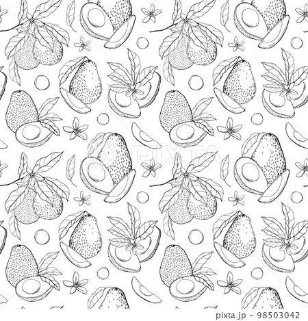 Watercolor tropical seamless pattern with avocado, leaves and flowers. Hand painted line art fruits and seeds isolated on white background. Floral illustration for design, print, fabric or background. 98503042