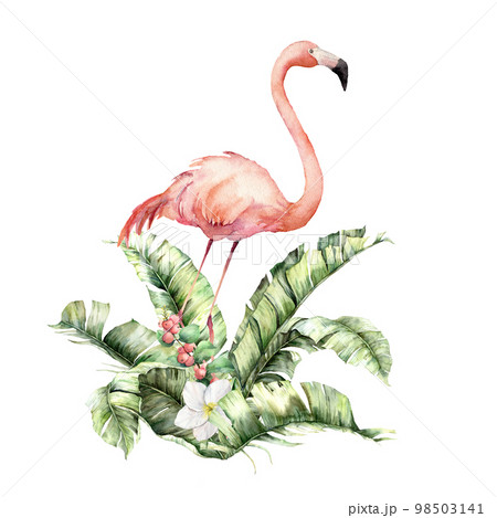 Watercolor tropical card with pink flamingo, white plumeria and berries bouquet. Hand painted bird, leaves and flowers isolated on white background. Floral illustration for design, print or fabric. 98503141
