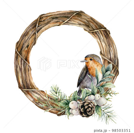 Watercolor Christmas wreath with robin and pine cones. Hand painted bird, fir branches, berries and coniferous isolated on white background. Holiday wildlife symbol for design, print or background. 98503351