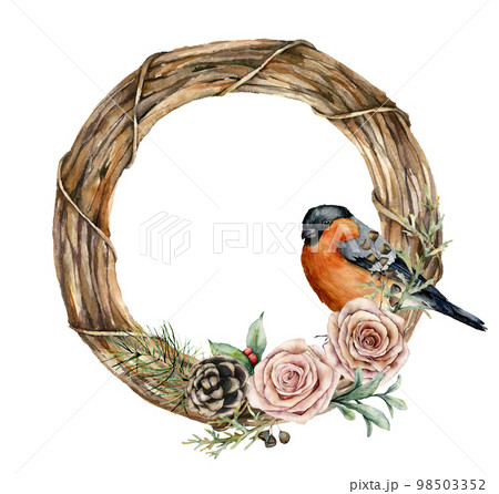 Watercolor Christmas wreath with bullfinch and roses. Hand painted eucalyptus leaves, pine cones, berries, fir branches isolated on white background. Holiday symbol for design, print or background. 98503352