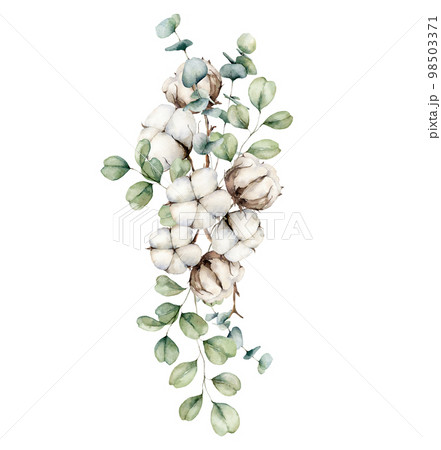 Watercolor autumn vertical bouquet with cotton and eucalyptus branches. Hand painted rustic card isolated on white background. Floral illustration for design, print, fabric or background. Watercolor autumn vertical bouquet with cotton and eucalyptus branches. Hand painted rustic card isolated on white background. Floral illustration for design, print, fabric or background. 98503371
