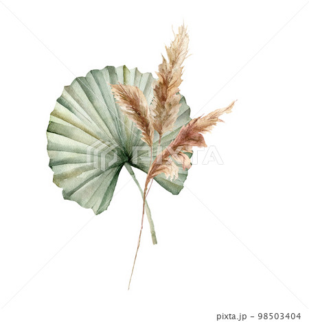 Watercolor tropical bouquet with dry leaves and pampas grass. Hand painted exotic composition with leaves isolated on white background. Floral illustration for design, print, fabric or background. Watercolor tropical bouquet with dry leaves and pampas grass. Hand painted exotic composition with leaves isolated on white background. Floral illustration for design, print, fabric or background. 98503404