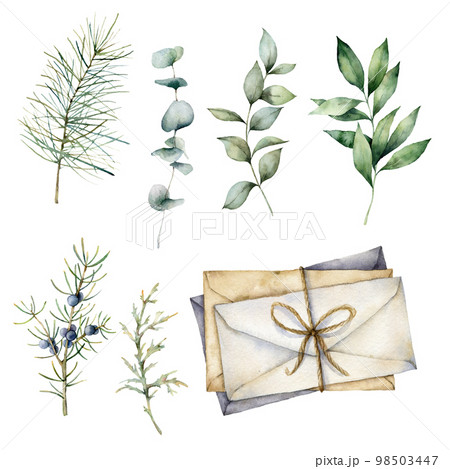 Watercolor eucalyptus branches and envelopes set. Hand painted branches, leaves and berries isolated on white background. Floral illustration for design, print, fabric or background. Botanical set. Watercolor eucalyptus branches and envelopes set. Hand painted branches, leaves and berries isolated on white background. Floral illustration for design, print, fabric or background. Botanical set. 98503447