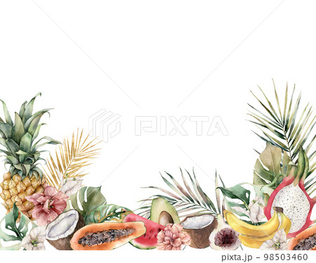 Watercolor tropical border with fruits and flowers. Hand painted avocado, coconut, dragon fruit, fig, papaya and hibiscus on white background. Food illustration for design, print, fabric, background. 98503460