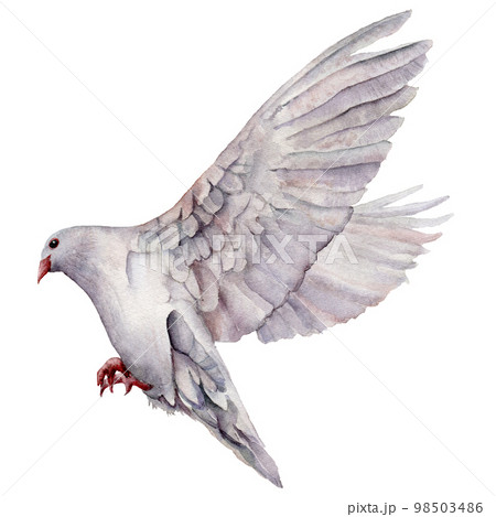 Watercolor card with the flight of a white dove. Hand painted greeting postcard with pigeon bird isolated on white background. Easter illustration for design, print, fabric or background. Spring bird. 98503486
