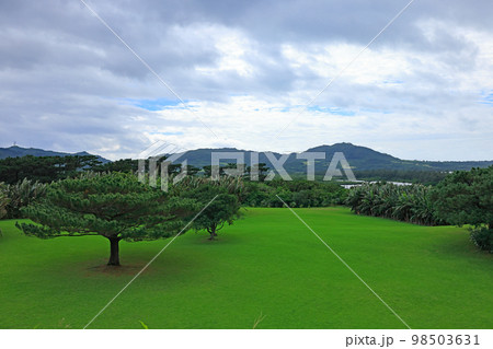 石垣島やいま村の風景 98503631