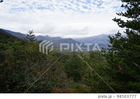 秋のシャクナゲ園から浅間の鋸岳に登る登山道 鳥居峠方面 2022年10月12日 秋のシャクナゲ園から浅間の鋸岳に登る登山道 鳥居峠方面 2022年10月12日 98503777