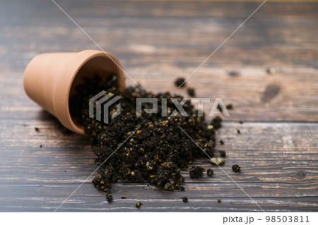 倒れて土がこぼれた植木鉢 98503811