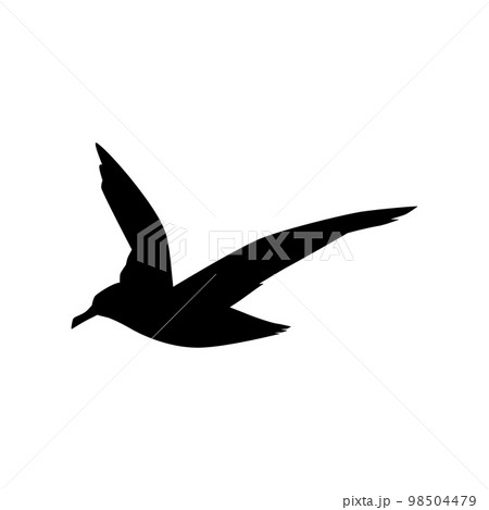 Albatross black silhouette, seabird icon - flat vector illustration isolated on white background. Albatross black silhouette, seabird icon - flat vector illustration isolated on white background. 98504479
