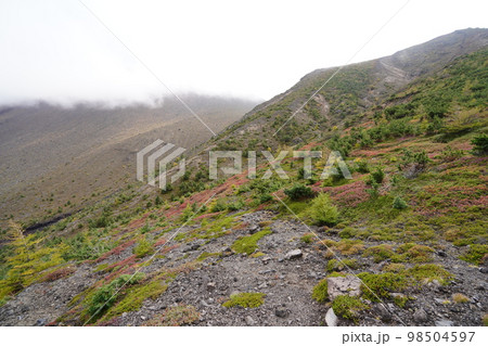 秋のシャクナゲ園から浅間の鋸岳に登る登山道から浅間の鋸岳方面を見る　2022年10月12日 98504597