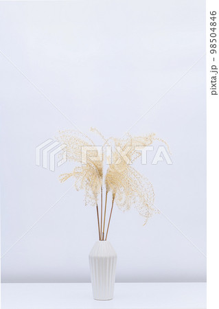 白い花瓶に活けたススキの穂 白い花瓶に活けたススキの穂 98504846
