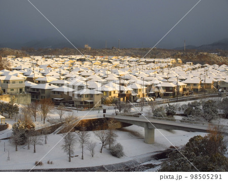 雪が降り積もった三田市の住宅街 98505291