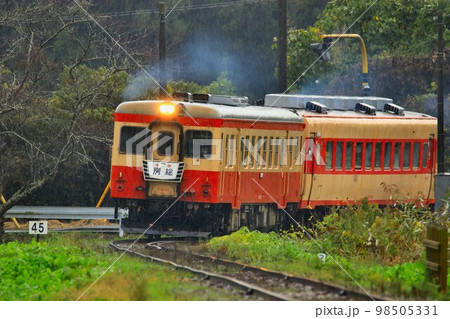 引退する国鉄形気動車のキハ28系と伴走するキハ52 引退する国鉄形気動車のキハ28系と伴走するキハ52 98505331