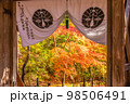 京都　 光明寺の紅葉 98506491