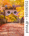 京都　 光明寺の紅葉 98506502