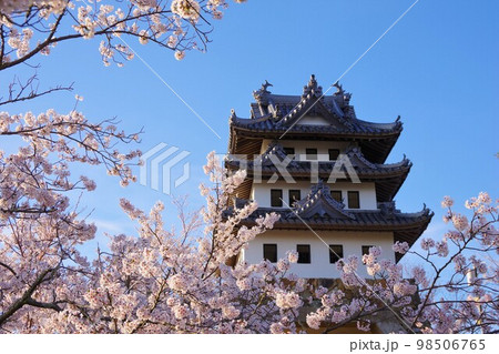 兵庫県洲本市　桜の時期の洲本城 98506765