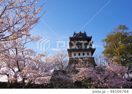兵庫県洲本市　桜の時期の洲本城 98506768