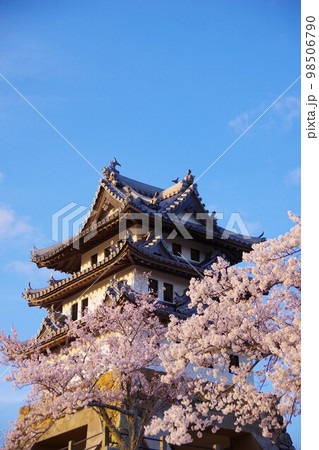 兵庫県洲本市　桜の時期の洲本城 98506790