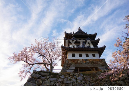 兵庫県洲本市　桜の時期の洲本城 98506804