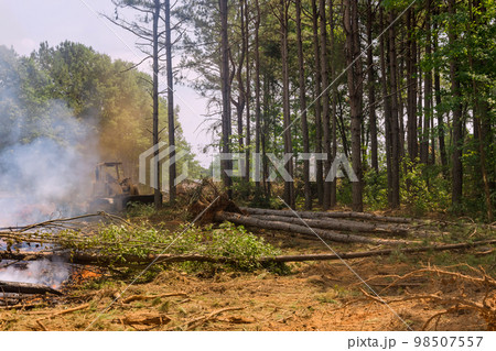 Construction site with uprooted forest being burned in order to build houses Construction site with uprooted forest being burned in order to build houses 98507557