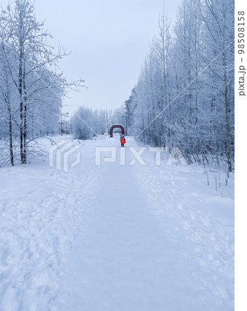 Winter vertical landscape. Trees covered with snow in a winter forest. Winter road 98508158