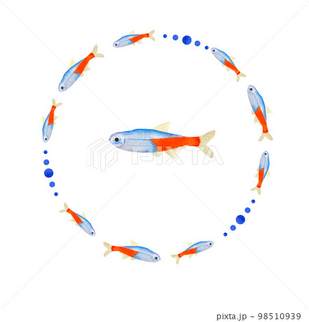 Watercolor illustration of a set of marine fauna isolated on white background. Print, design, poster, banner, background, menus, souvenirs, decor, wallpaper, fabric, textile, wrapping. 98510939