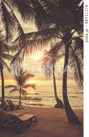 Tropical beach with coconut palm trees at sunset, color toned picture. 98511178