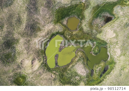 Fresh water spring, in Pampas landscape, Argentina 98512714
