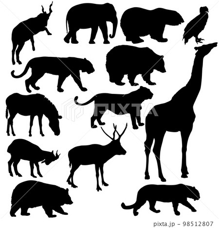 Silhouette elephant tiger bear giraffe flamingo pelican goose on a white background 98512807