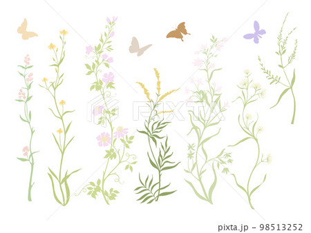 Wild flowers and butterflies Vector illustration. Wild flowers and butterflies Vector illustration. 98513252