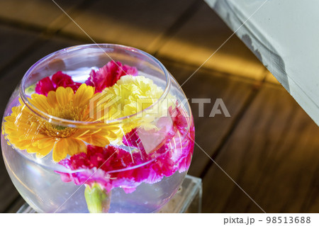 あしかがフラワーパークのイルミネーション 光の花の庭 光の花手水 栃木県足利市 あしかがフラワーパークのイルミネーション 光の花の庭 光の花手水 栃木県足利市 98513688