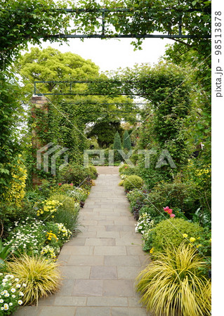 花、沢山の花、花畑、花壇、春、カラフル、美しい、可愛い、並んだ、野外、屋外、空、草、植物、緑、葉、赤 98513878