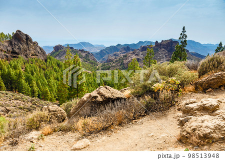 beautiful landscape of the volcanic island of gran canaria 98513948