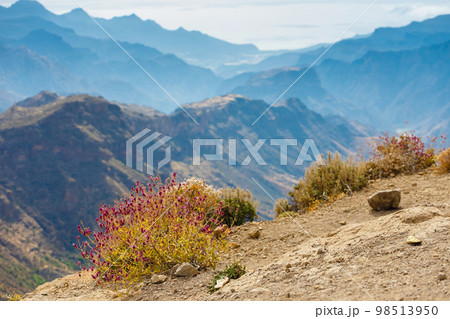 Roque Nublo - volcanic monolith. It is one of the most famous landmarks of Gran Canaria, Spain. 98513950