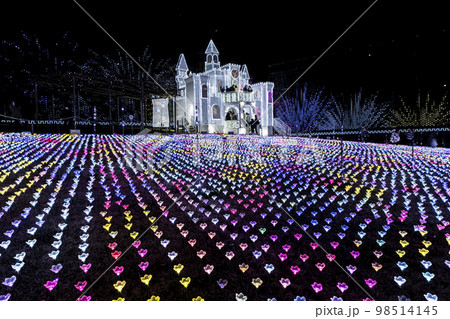 あしかがフラワーパークのイルミネーション 光の花の庭 フラワーキャッスル 栃木県足利市 あしかがフラワーパークのイルミネーション 光の花の庭 フラワーキャッスル 栃木県足利市 98514145