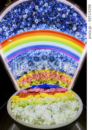 あしかがフラワーパークのイルミネーション 光の花の庭 光の花手水 栃木県足利市 あしかがフラワーパークのイルミネーション 光の花の庭 光の花手水 栃木県足利市 98514206