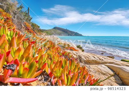Fantastic summer morning on the Giallonardo beach. 98514323