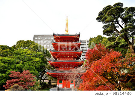 福岡市の風景 東長寺 福岡市の風景 東長寺 98514430
