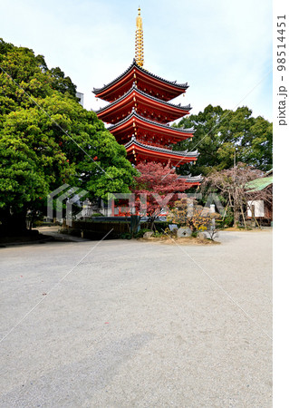 福岡市の風景　東長寺 98514451