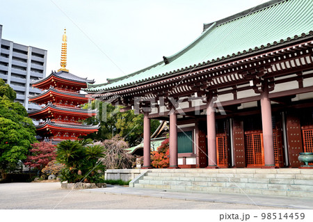 福岡市の風景 東長寺 福岡市の風景 東長寺 98514459