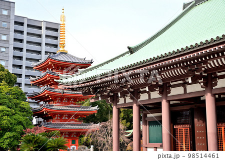 福岡市の風景　東長寺 98514461
